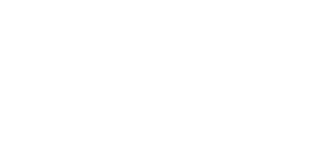 white logo of Longhorn Fire Safety Austin, Texas
